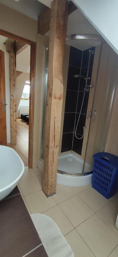 Apartament Gliwice Centrum Extérieur photo